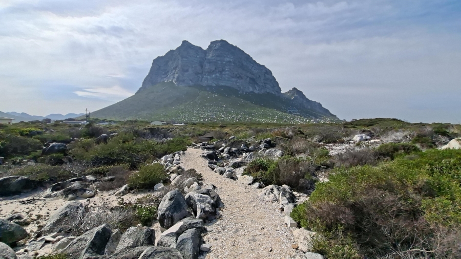0 Bedroom Property for Sale in Pringle Bay Western Cape